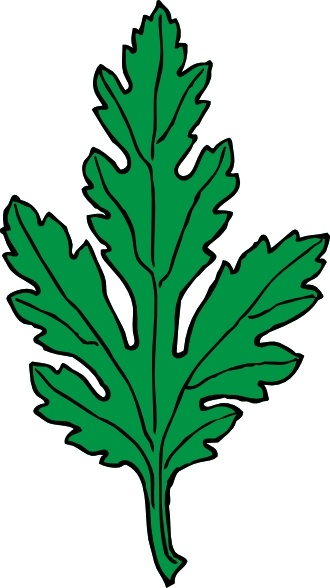 330x588 Vector Chrysanthemum For Free Download About (30) Vector
