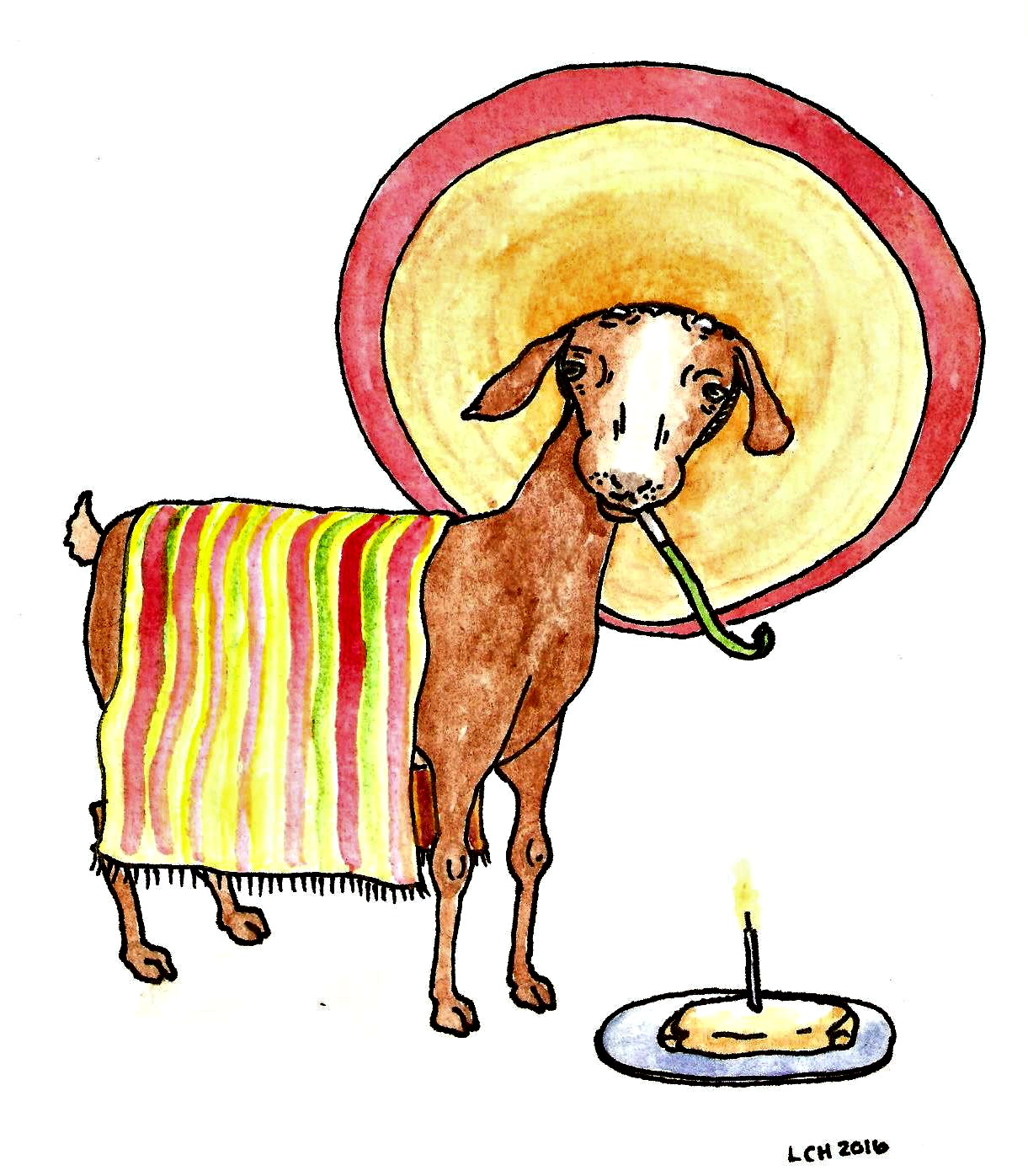 1221x1396 Cinco De Mayo Birthday Goat