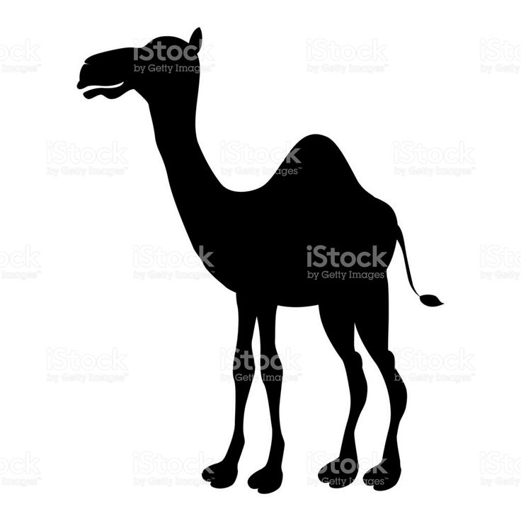 736x736 The Best Cartoon Silhouette Ideas Cartoon Birds