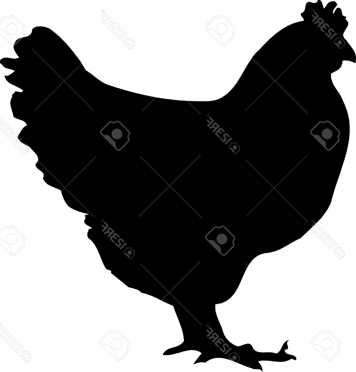 1244x1300 Best Hd Chicken Silhouette Clip Art Free Vector Image Free