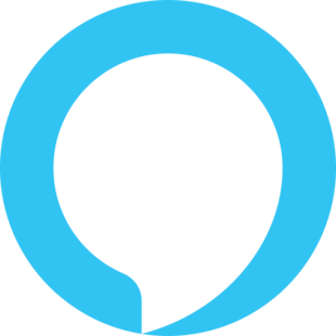 310x310 Do More With Amazon Alexa