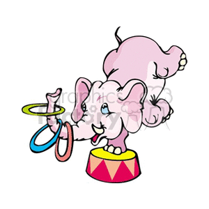 300x300 Royalty Free Pink Elephant Doing Circus Tricks 130850 Vector Clip