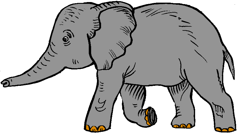 809x454 Asian Elephant Clipart Circus Elephant