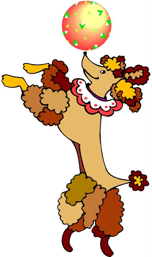 490x826 Cute Chihuahua Circus Animals Clipart