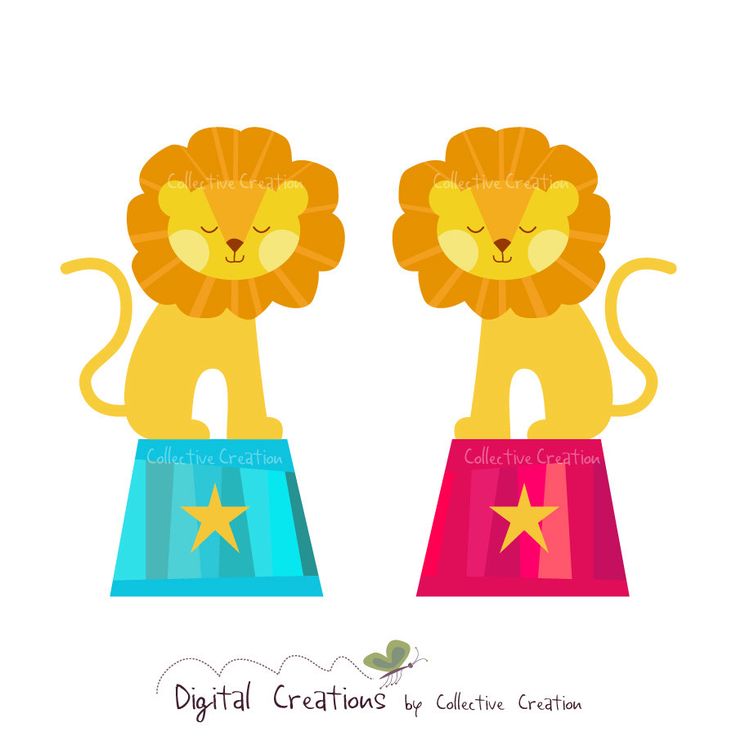 736x736 30 Best Lion Images Draw, Beautiful And Childhood