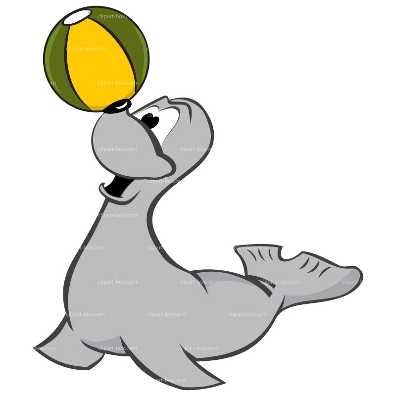 800x800 Top 89 Seal Clip Art