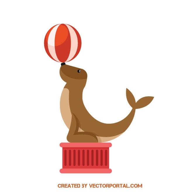 660x660 Seal In A Circus Performance