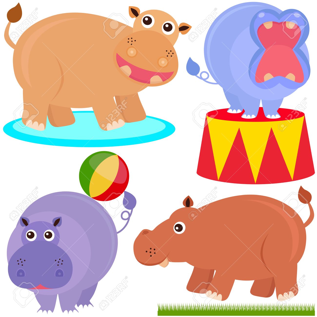 1300x1300 Hippo Clipart Circus