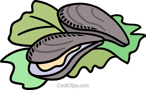 480x295 Food Clipart Clam