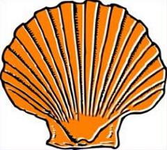 240x216 Free Clam Shell Clipart