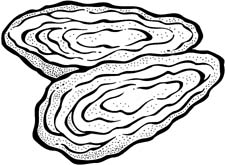 225x165 Oyster Clip Art Free Clipart Panda
