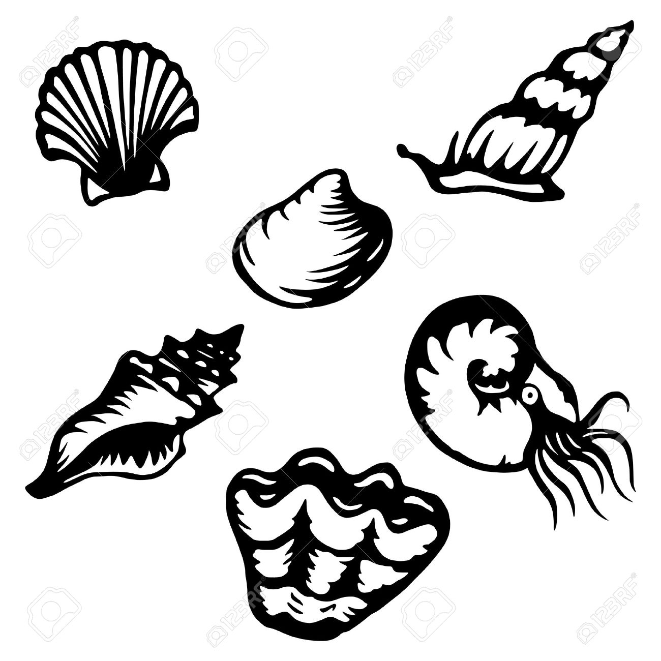 1300x1300 Shell Clipart Shellfish