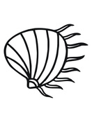 132x176 Clam Coloring Pages Free Coloring Pages