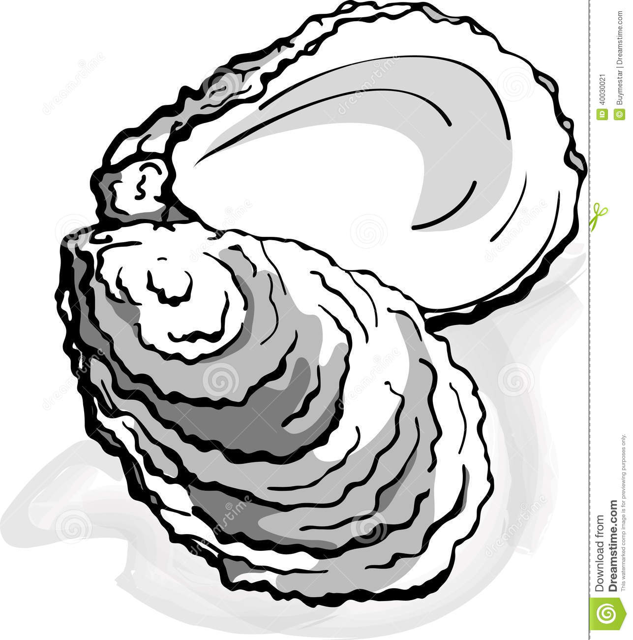 1287x1300 Top 97 Oyster Clipart