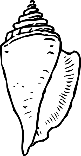 312x594 Seashell Clipart Black And White Clipart Panda