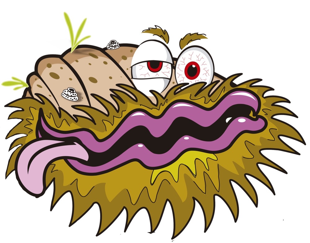 1000x784 The Bearded Clam Sports Bar, Nassau