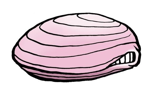 576x362 Bad Clams Andbythatimeanvagina