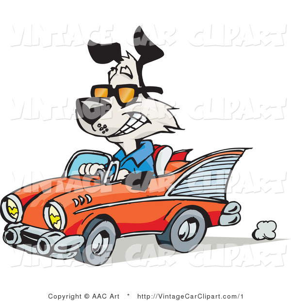 600x620 Vector Clipart Of A Happy Dog Driving A Red Vintage Convertible
