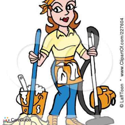 500x500 Cleaning Clipart House