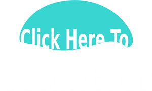 300x180 Mp3 Audio Player Png, Svg Clip Art For Web