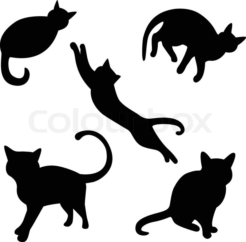 800x787 Set Of Vector Cat Silhouettes Stock Vector Colourbox