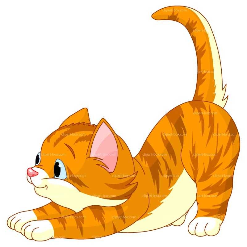 800x800 Cat Clip Art Kitten Clip Art 2 Image