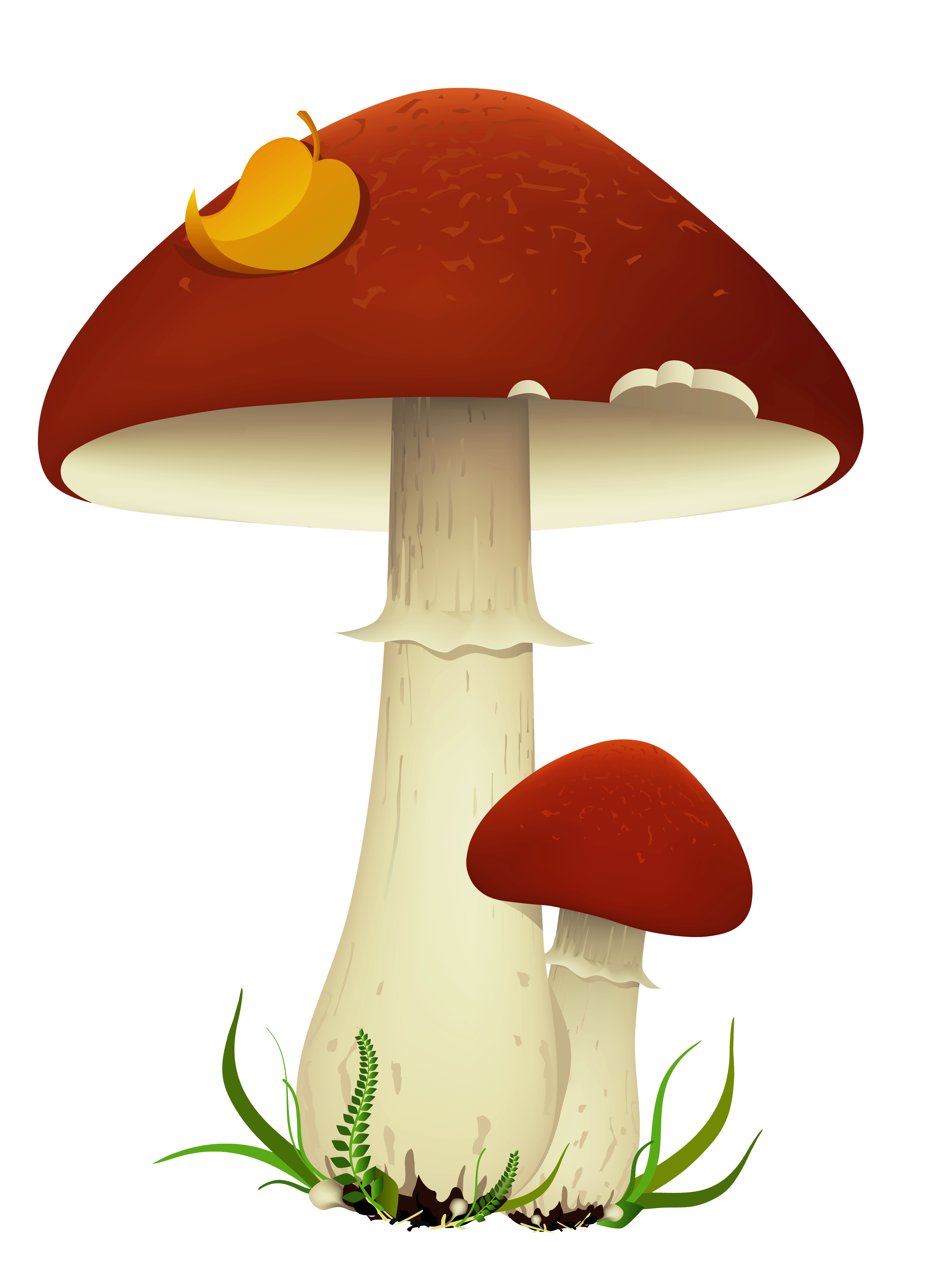 3462x4797 Mushroom Cloud Mario Mushroom Clipart No Background Clipartfest