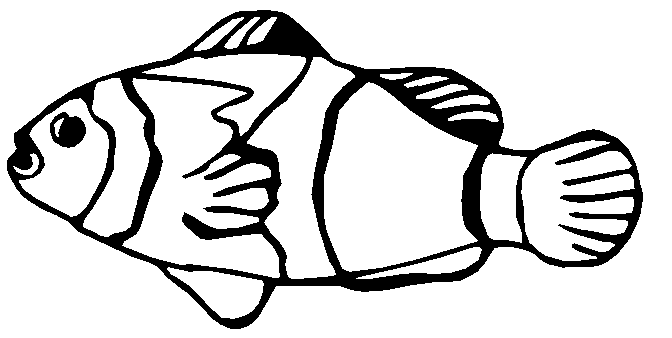 672x338 Fish Black And White Clown Fish Clipart Black And White