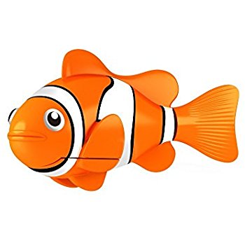 350x350 Clownfish Clipart Orange Things