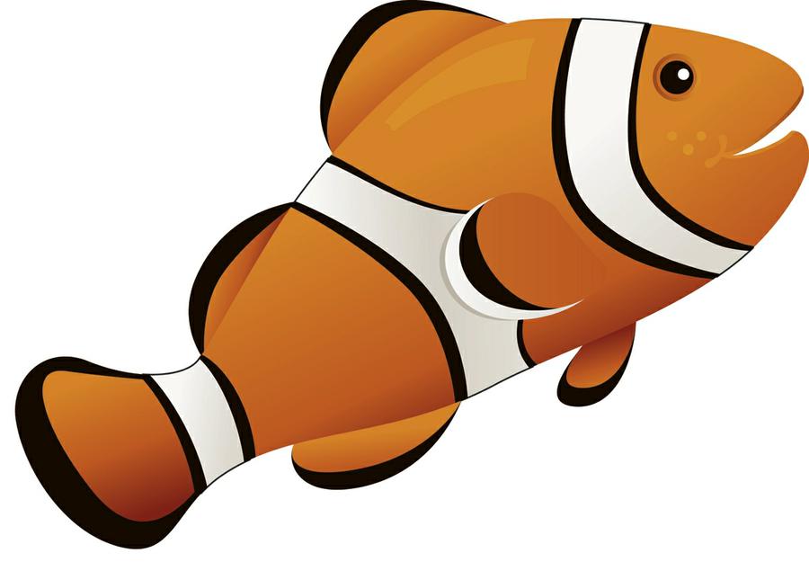 900x625 Clownfish Magnetic Whiteboard Eraser Clown Fish 3 1 2 Ash Clip Art