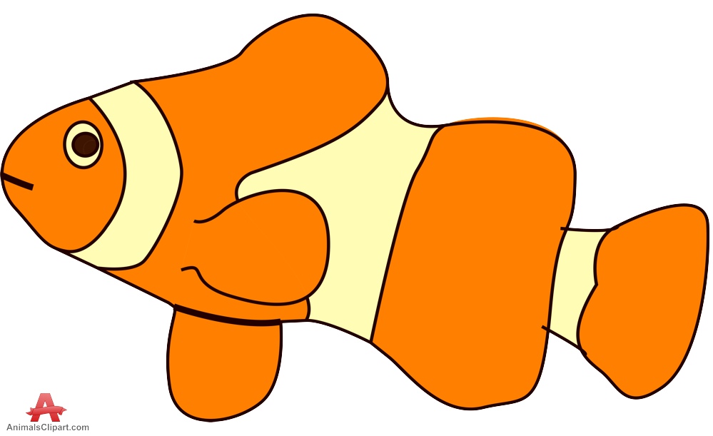 999x611 Clownfish Small Clown Fish Clipart Free Design Download