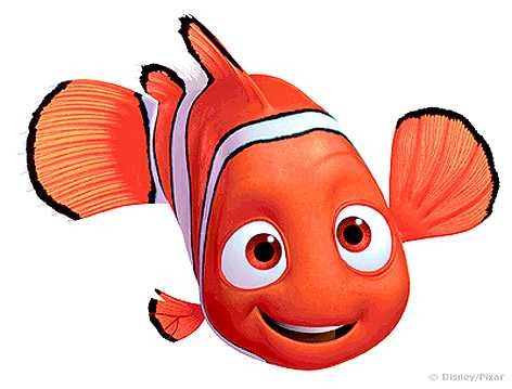472x359 Clownfish Cartoon Clown Fish Clipart 2esurd