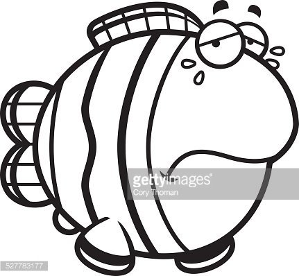 431x398 Clownfish Clipart Premium
