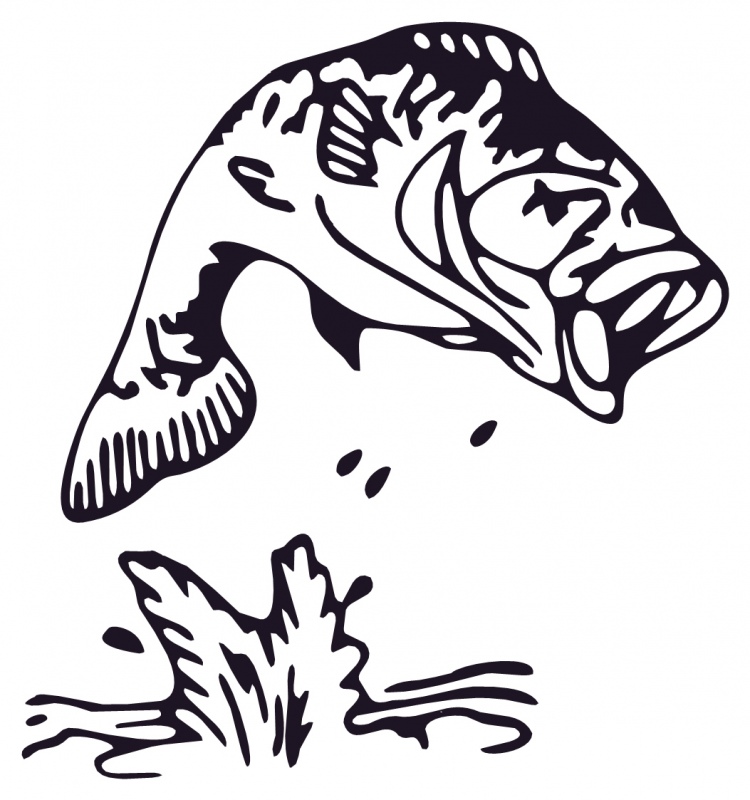 750x800 Fish Black And White Clown Fish Clip Art Black And White Free