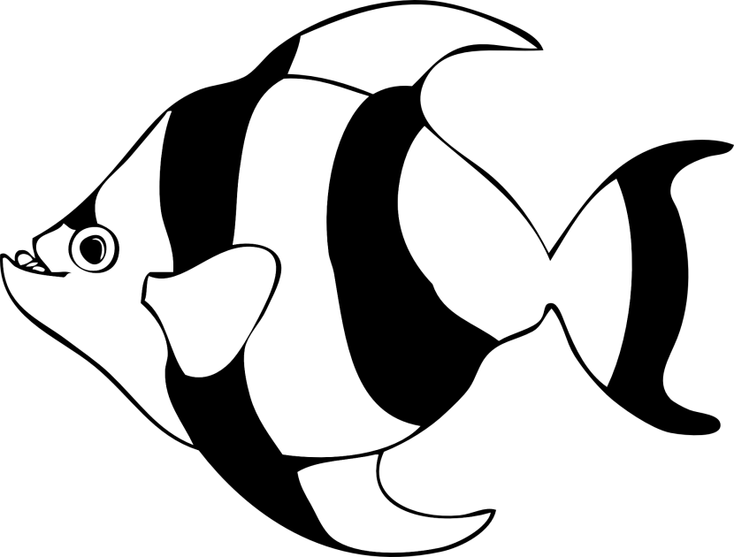 830x630 Fish Clipart Black N White
