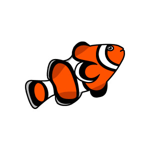 300x300 Clownfish Clown Fish Live Clipart Clipartfox