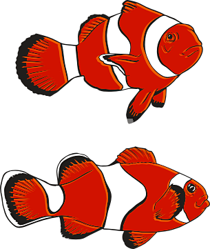 305x361 Current Fishing Clipart Clipart Panda