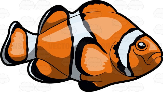640x364 A Cute Clownfish Cartoon Clipart