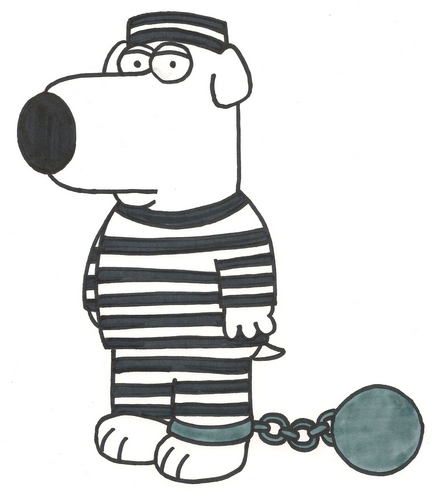 439x500 Have You Been Completely Honest With The Coast Guard Navigating