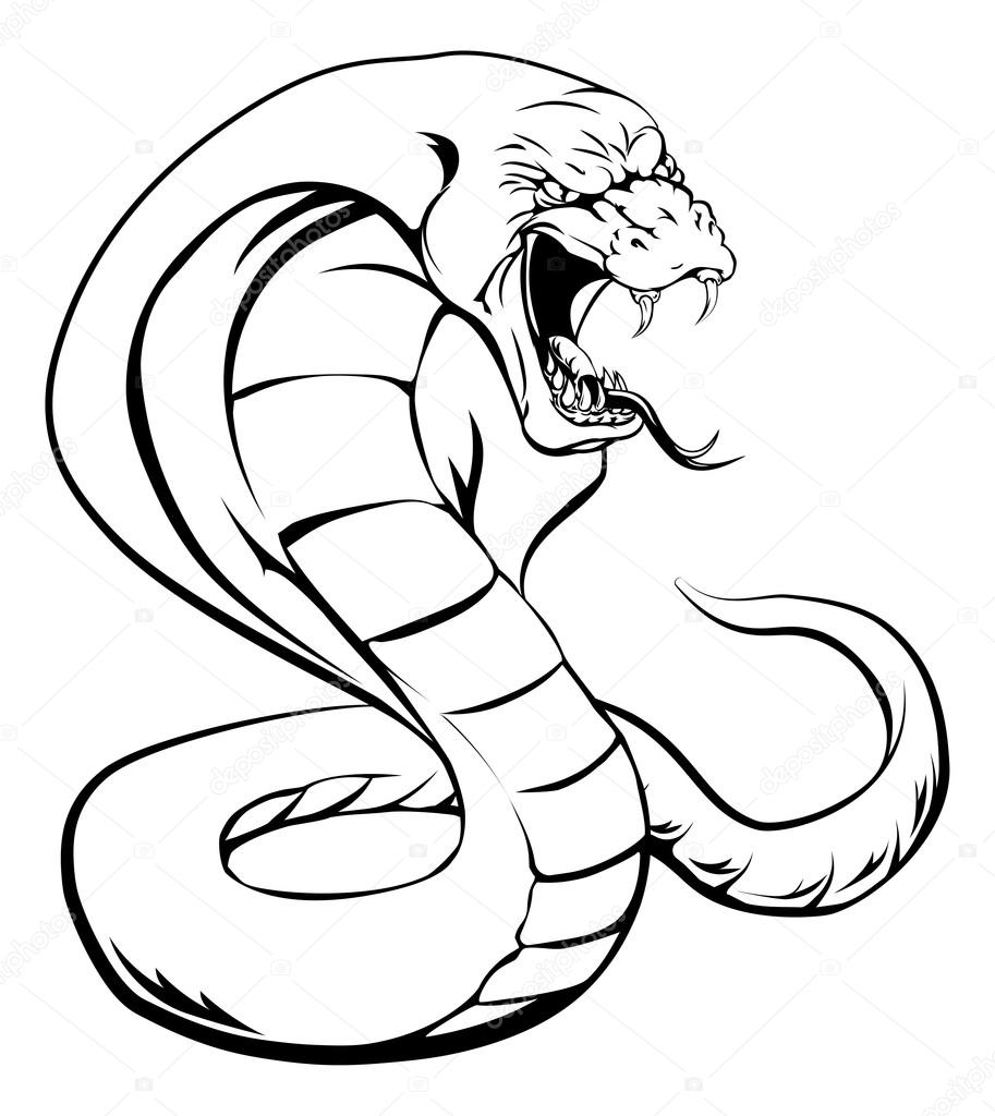 913x1024 Cobra Snake Stock Vector Krisdog
