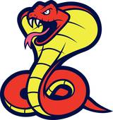 160x170 King Cobra Clip Art