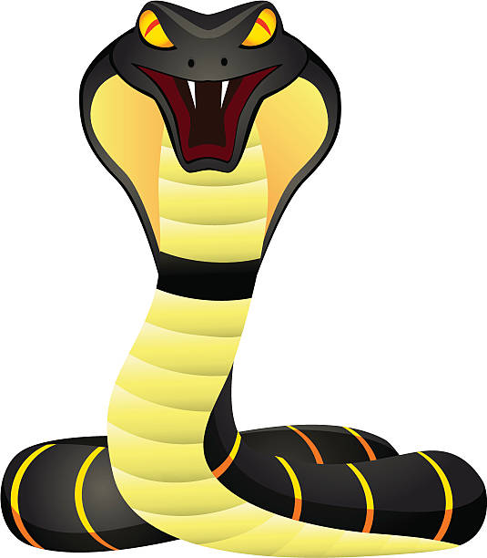 535x612 Serpent Clipart Cobra