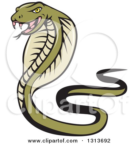 450x470 Top 82 Cobra Clip Art