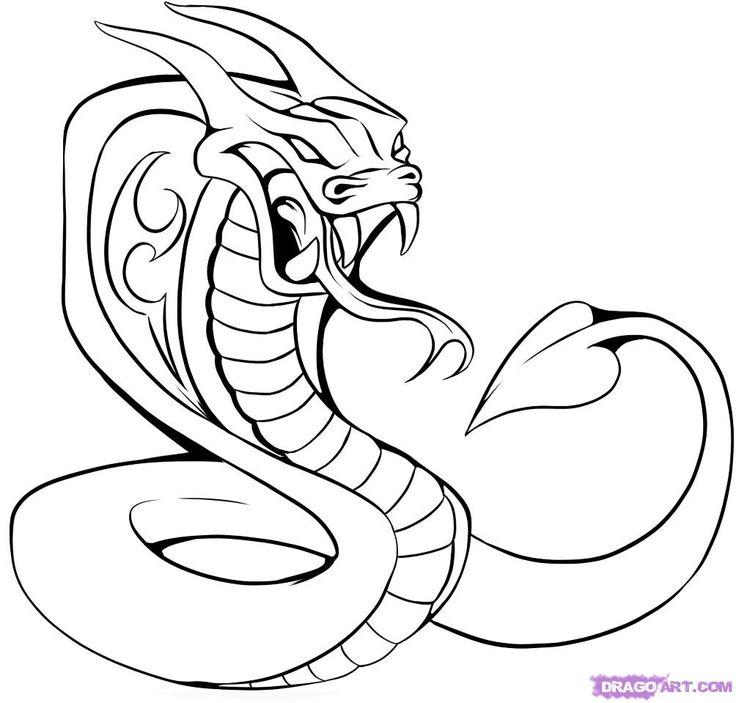 Cobra Drawing