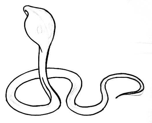 Cobra Drawing | Free download on ClipArtMag