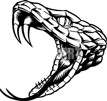 Cobra Drawing | Free download on ClipArtMag