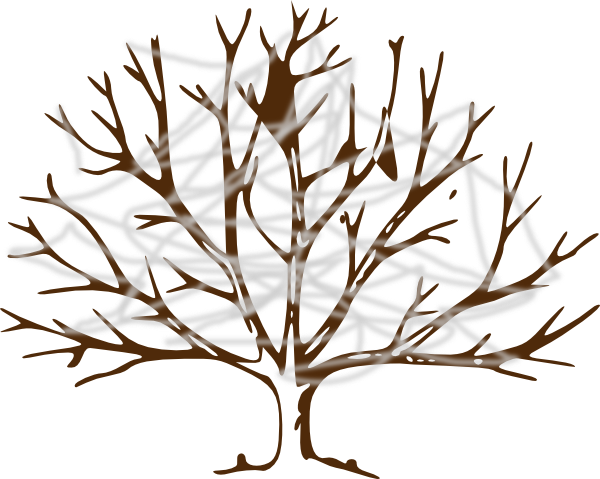600x479 Tree With Cobwebs Clip Art