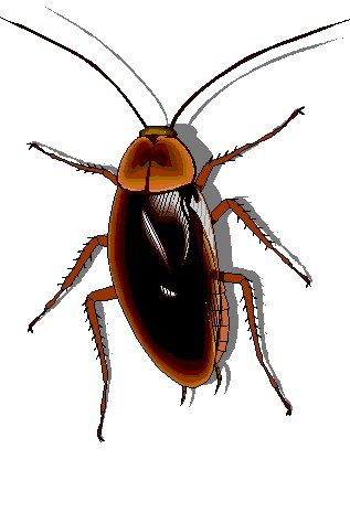 317x474 Cockroach Clipart Clip Art Library
