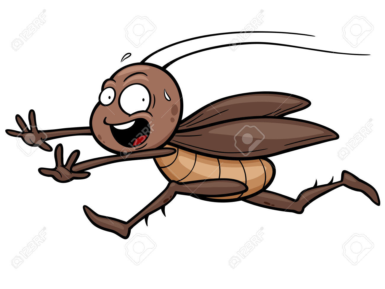 1300x975 Cockroach Clipart Cute