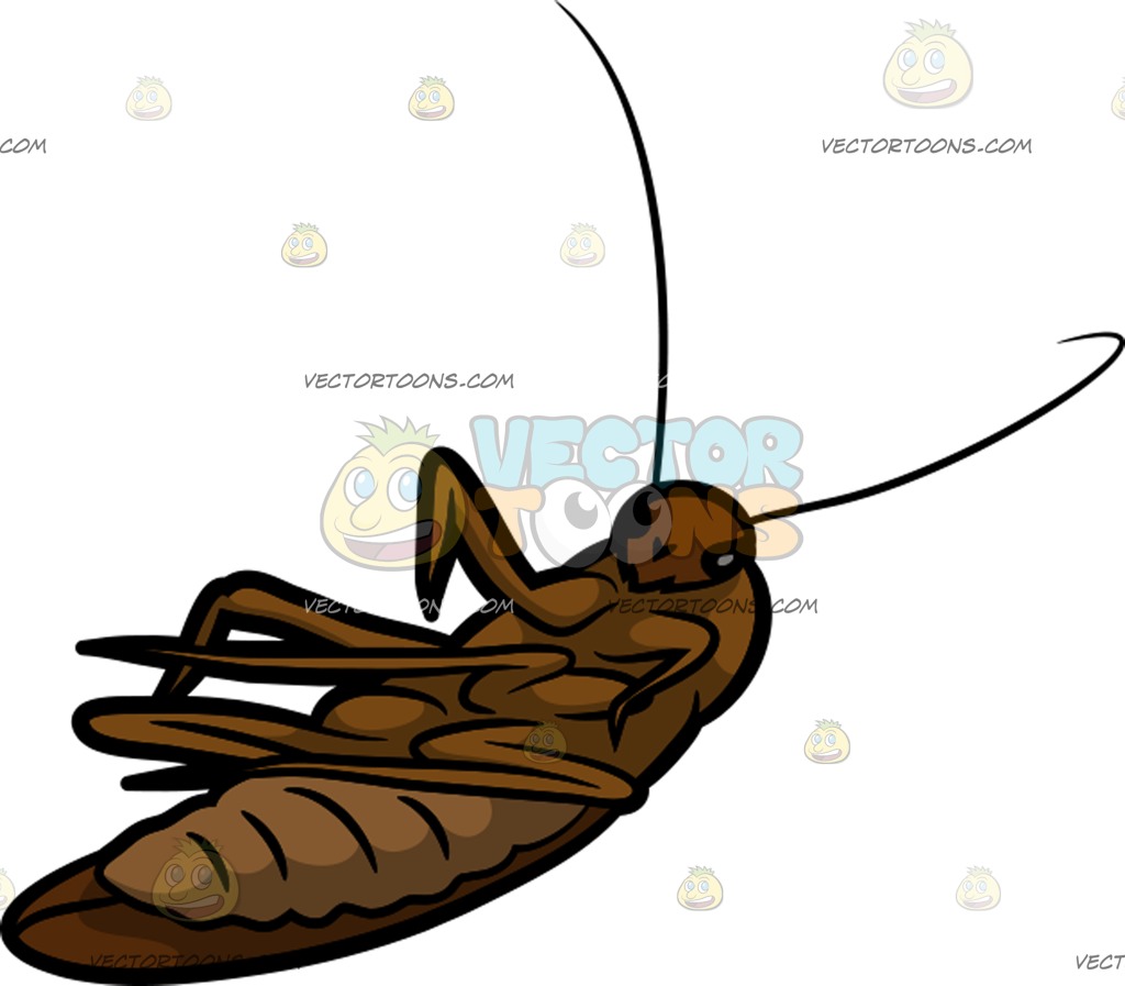1024x897 A Dead Cockroach On The Ground Cartoon Clipart